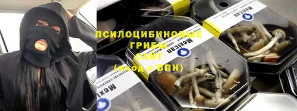 индика Великий Новгород