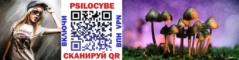 даркнет сайт  Новосибирск  Псилоцибиновые грибы Cubensis 